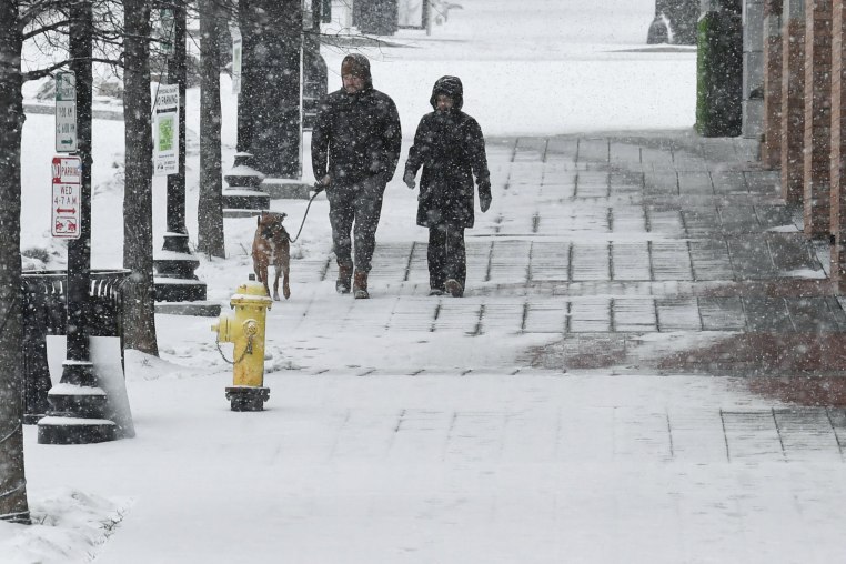 People walk through the snow with a dog outside
